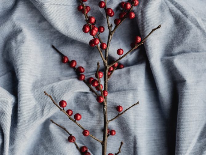 El lenguaje corporal en la sexualidad humana